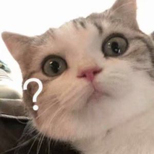 别告诉妈妈下载安装APP
