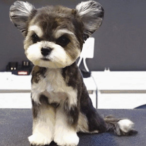 别告诉妈妈下载安装APP
